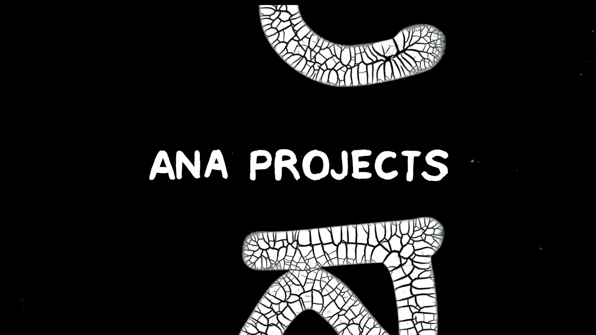 Ana Projects "Showreel 2022"