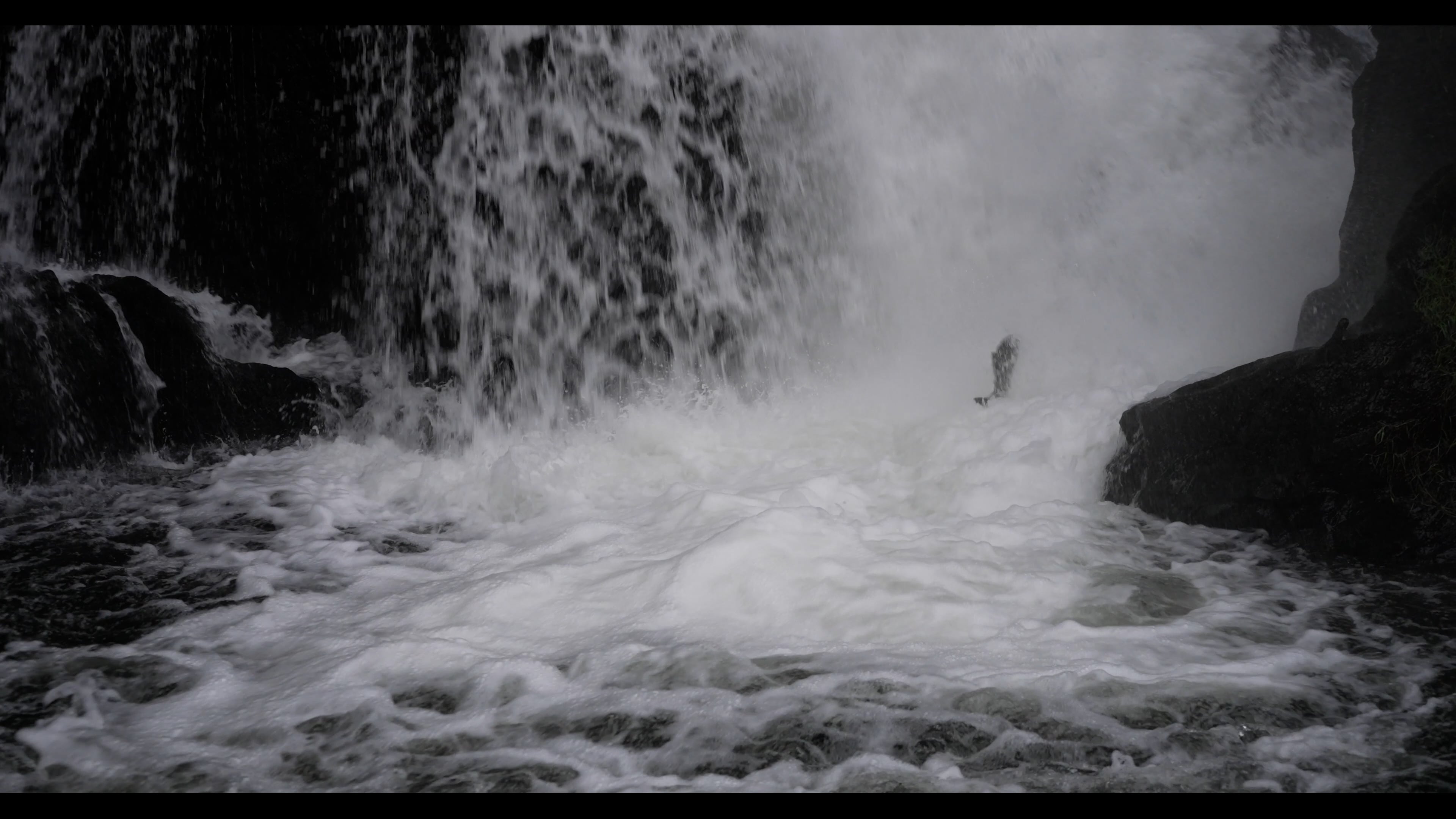 Salmon Run at Brewery Park at Tumwater Falls.mp4 on Vimeo