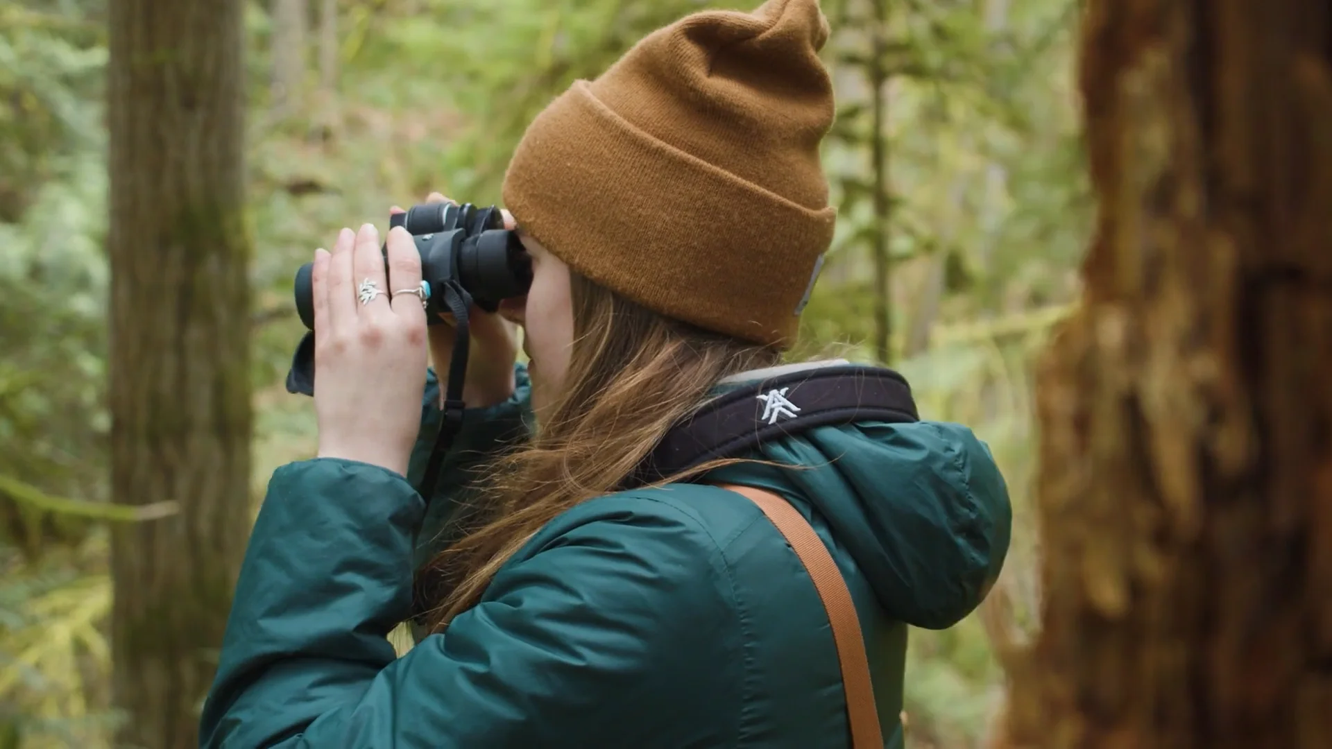 Community Forest 101 on Vimeo