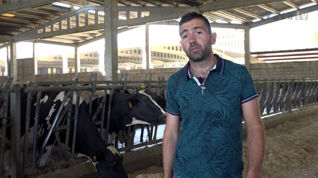 “Conseguimos tratar menos vacas de mamite con antimicrobianos, mellorar a taxa de preñez e que os animais se recuperen antes do posparto”