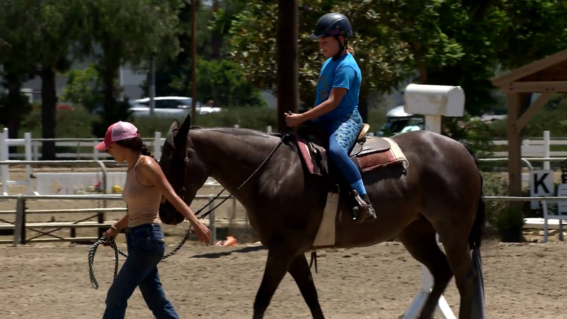 Lakewood Equestrian Center Programs on Vimeo