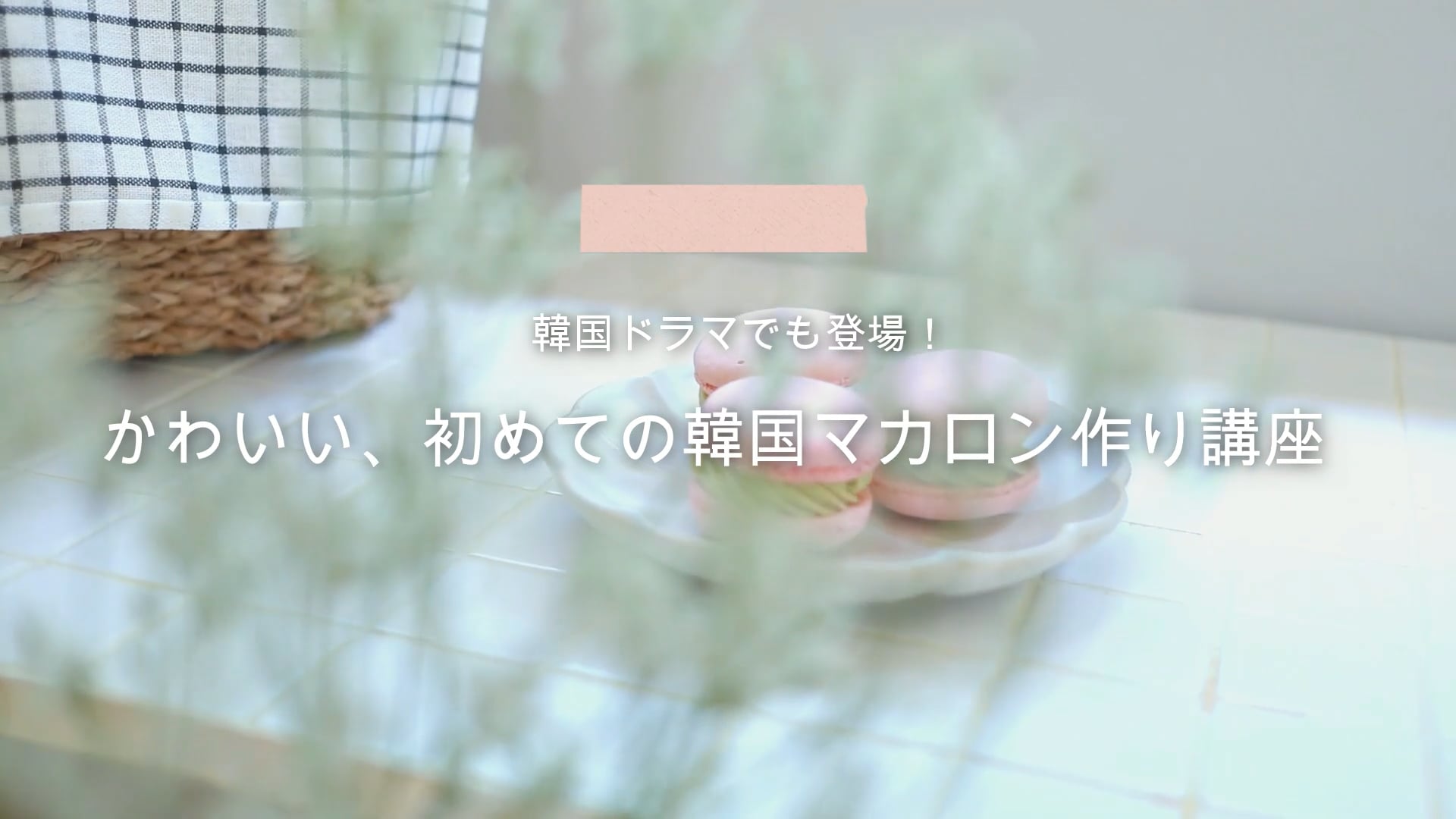 予告編動画のサムネイル画像