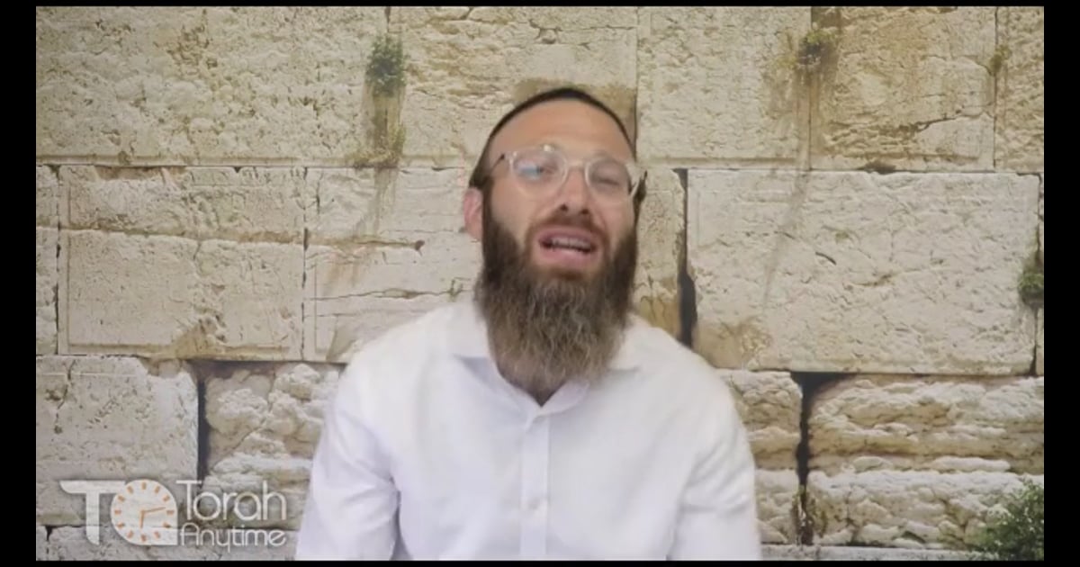 R' Eli Scheller Parashat Shoftim Dvar Torah