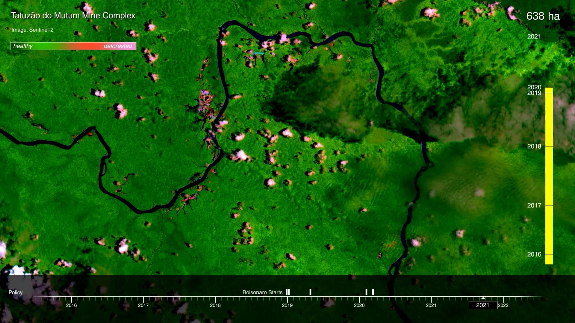 Gold Mining and Violence in the Amazon Rainforest