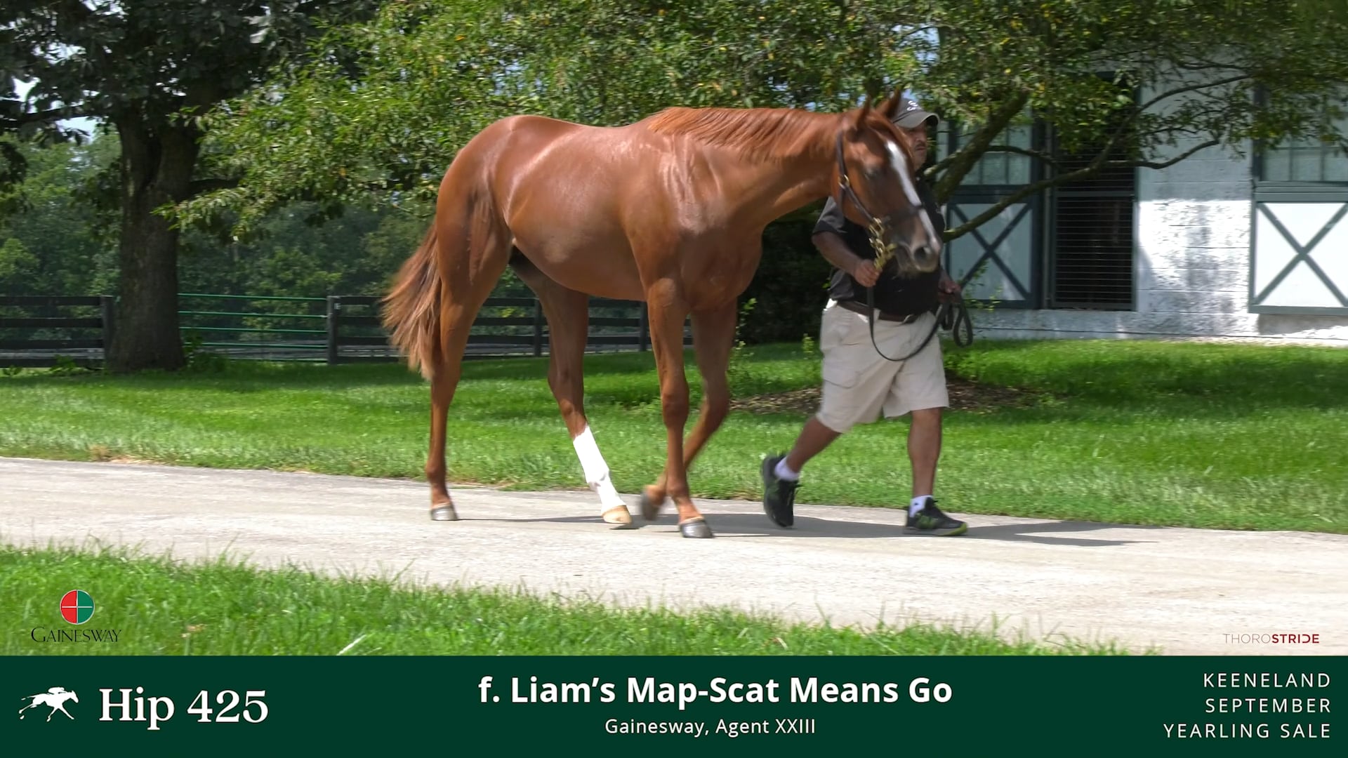 KEESEP22_425_Scat Means Go 21 on Vimeo