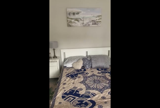Video 1: