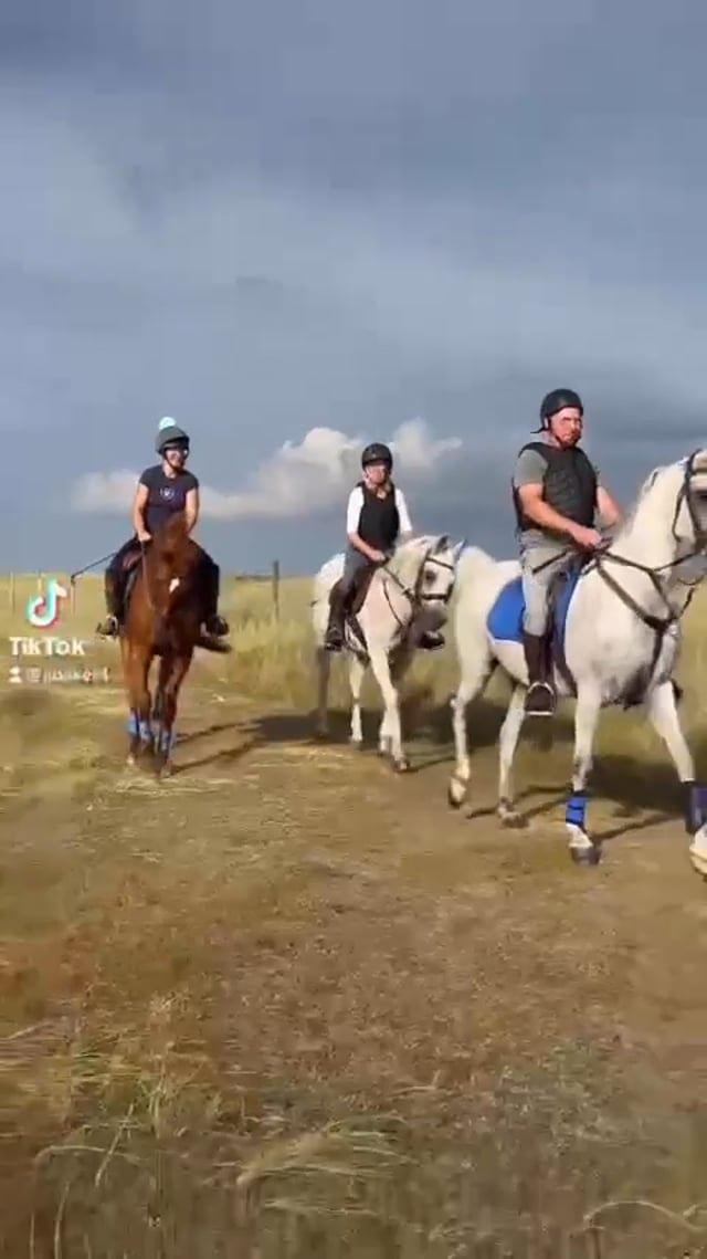 Arabians Enjoying Life - Aug 22