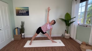 Related Embedded Video Item Thumbnail