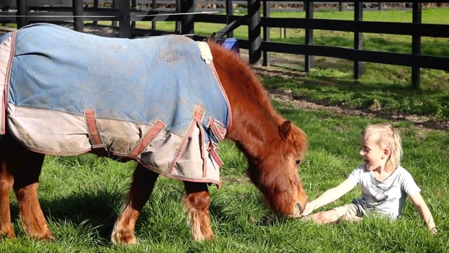 Riversley Park – 2022 Inglis Ready2Race