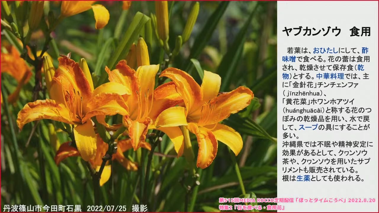 第515回MEDIA ROCCO定期配信 特集2 「花を食べる・食用花」 2022.8.20(2/2)