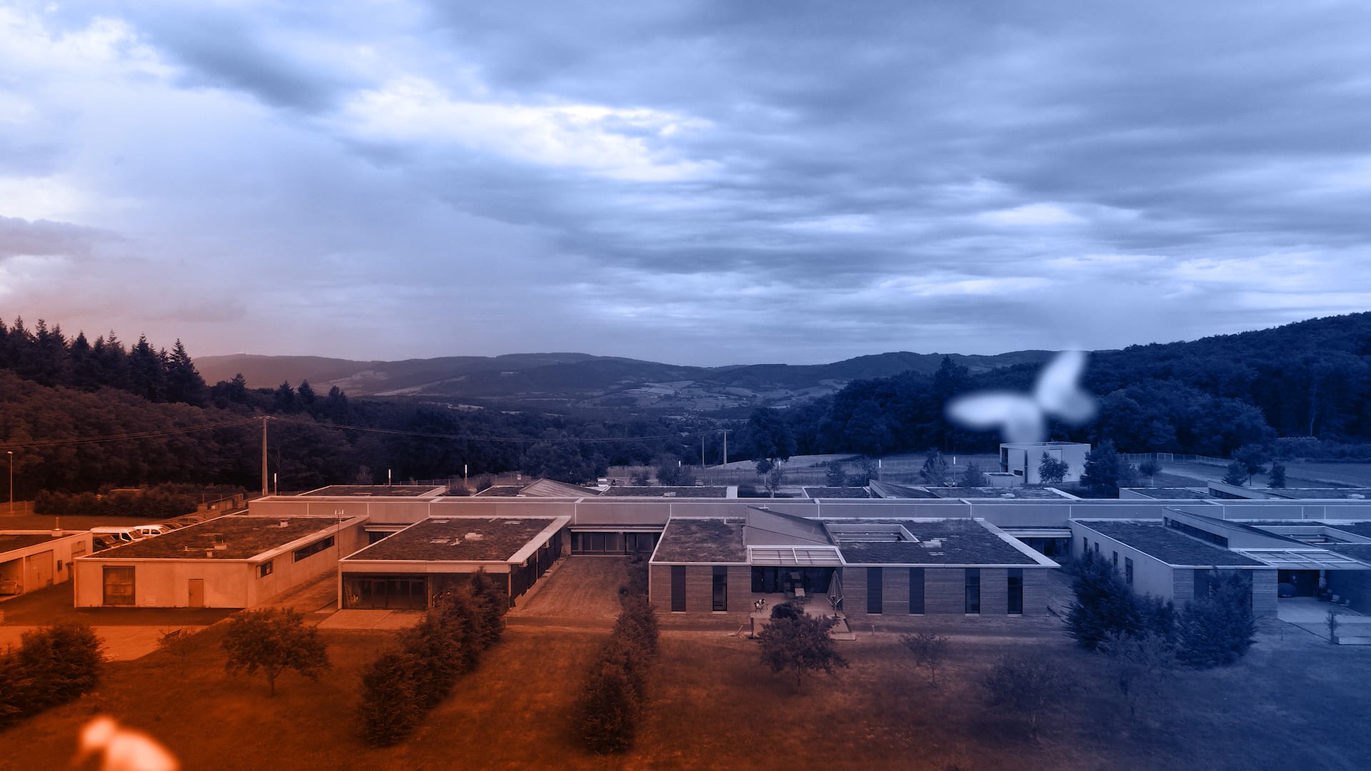 Papillon Blanc Bourgogne du Sud