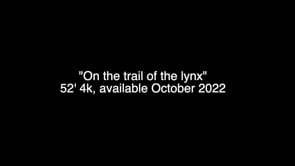 ON THE TRAIL OF THE LYNX