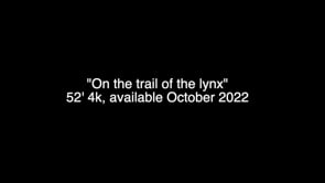 SUR LA PISTE DU LYNX