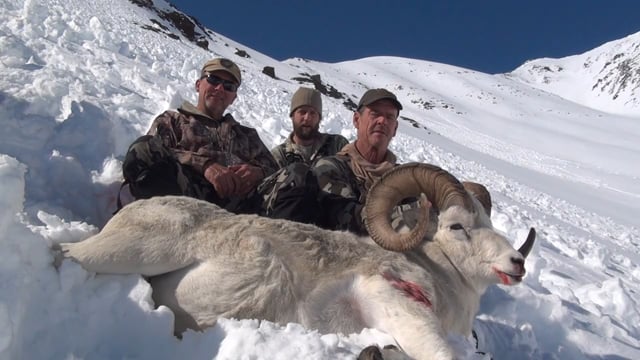 Alaska Dall Sheep Hunting with Don & Mark