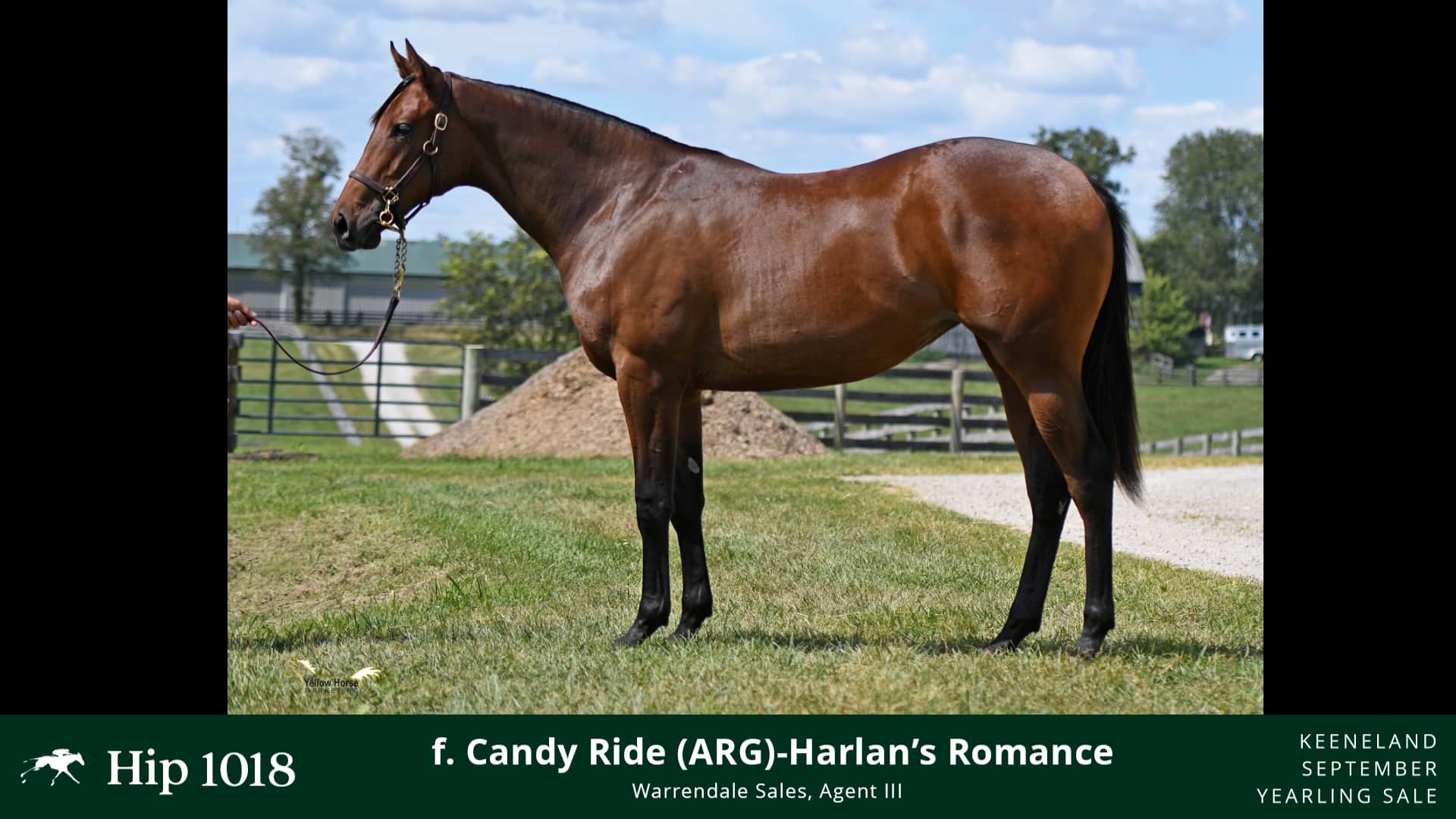 2022 Keeneland September Yearling Sale Hip 1018 Candy Ride (ARG) x Harlan