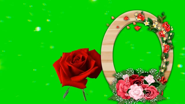 30+ Free Screen Flower & Flower Videos, HD & 4K Clips - Pixabay