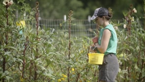 Abbess Elaine Heath on Disciple Making at Spring Forest- New Video!