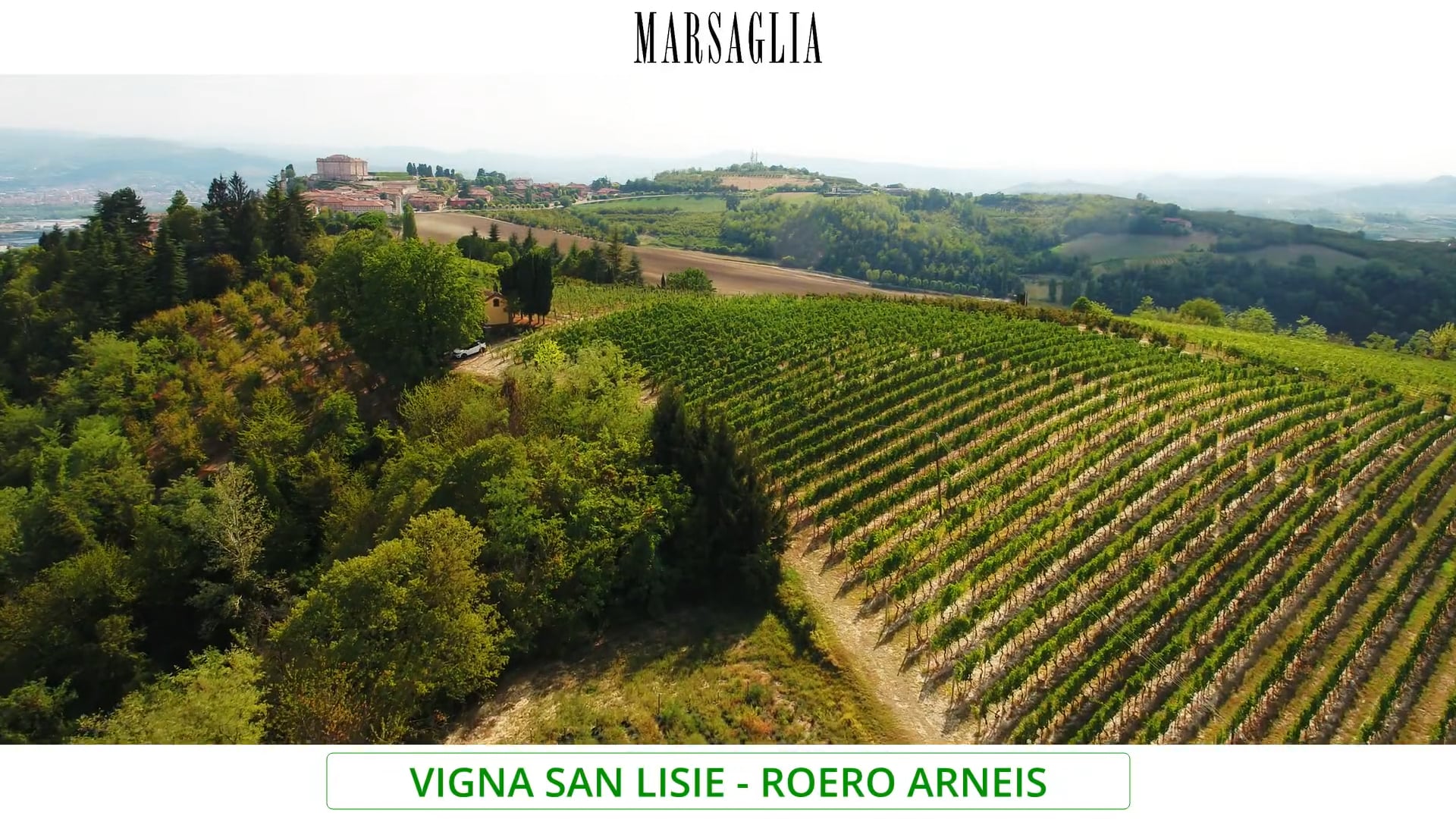 Vigna San Lisie | Vitigno Arneis