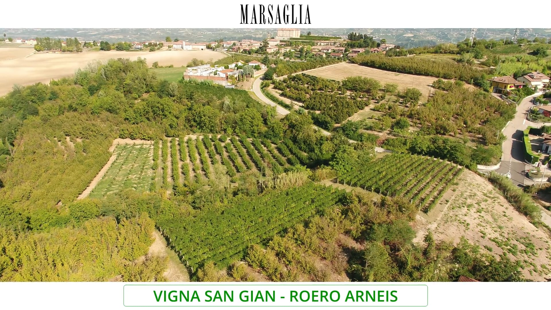 Vigna San Gian | Vitigno Arneis