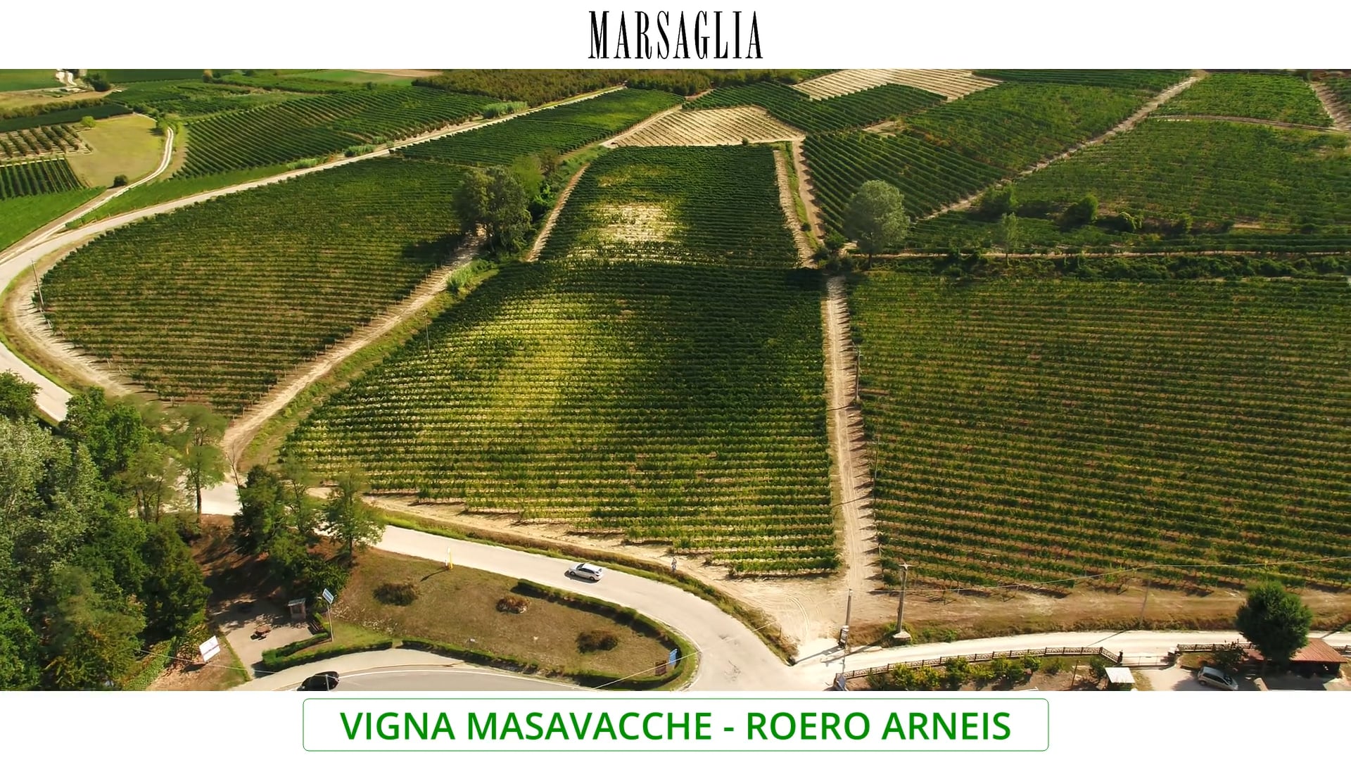 Vigna Masavacche | Vitigno Arneis