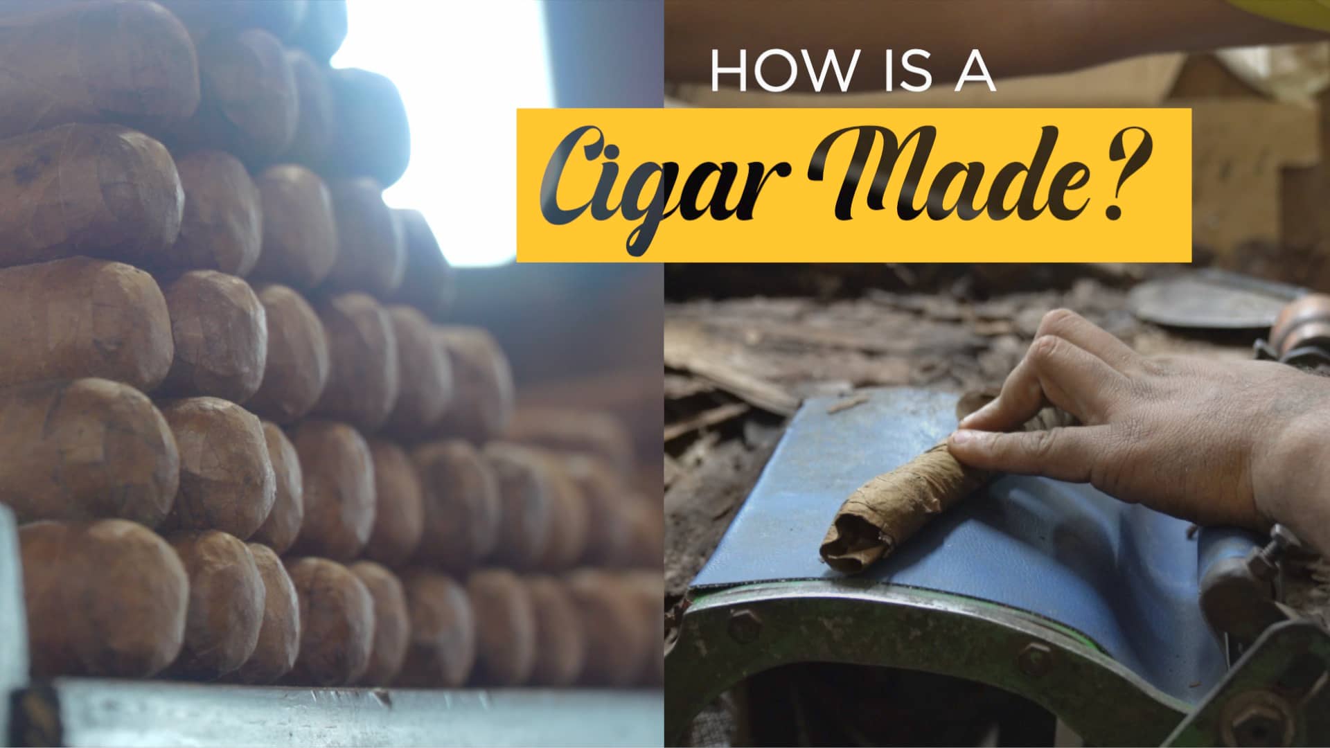 How a Cigar is Made on Vimeo
