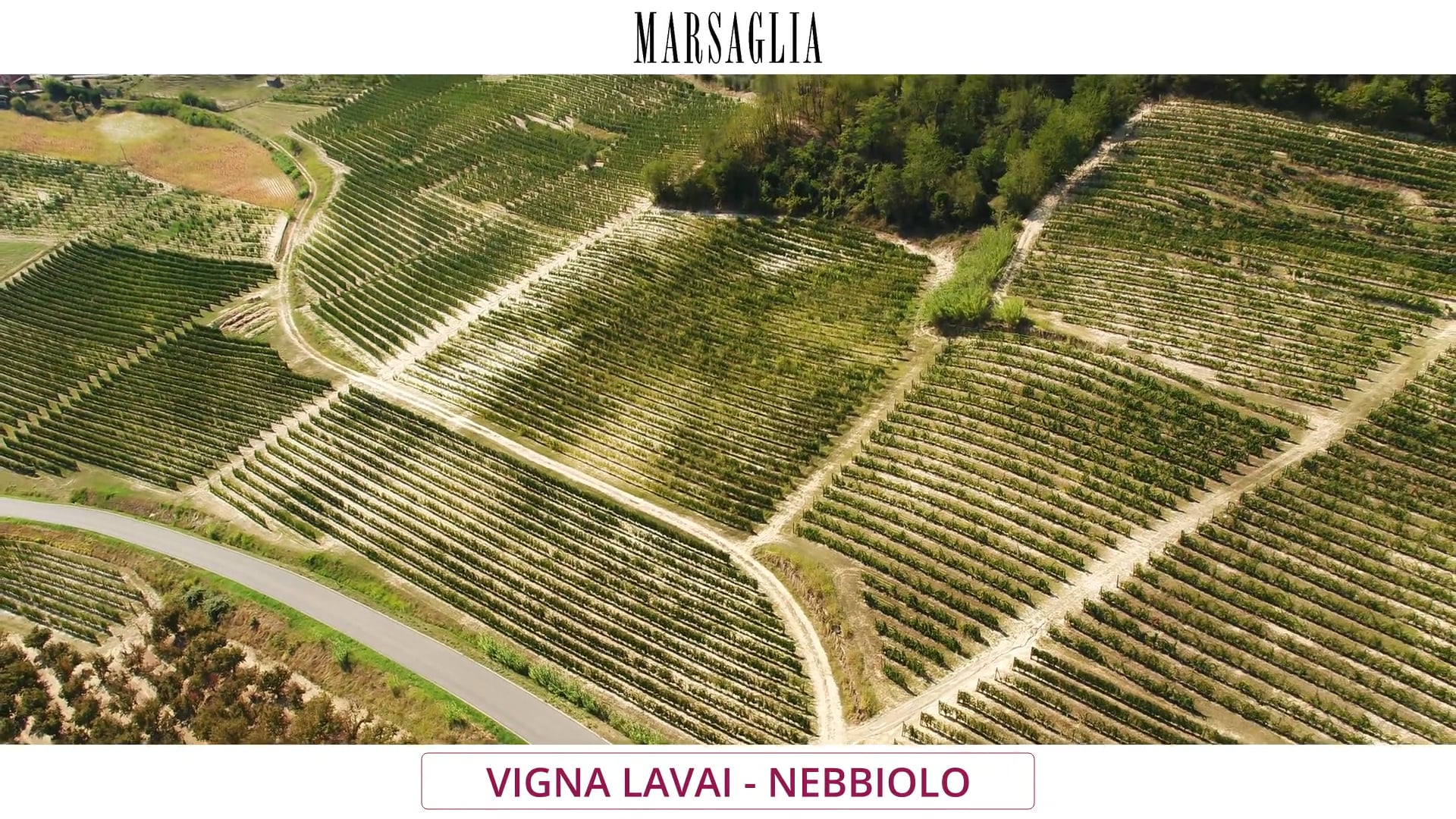 Vigna Lavai | Vitigno Nebbiolo