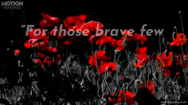 Colchester Castle Remembrance- 2021