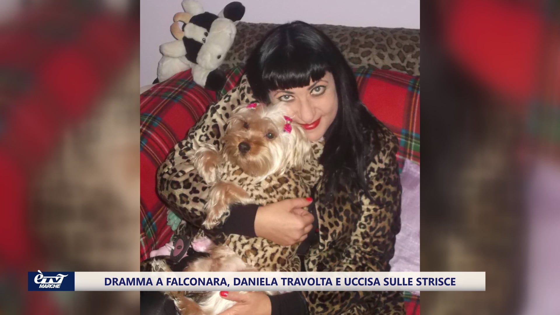Dramma a Falconara, Daniela travolta e uccisa sulle strisce - VIDEO 