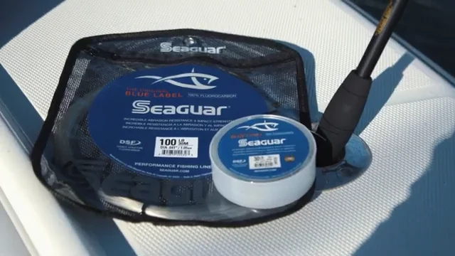 Seaguar Blue Label Fluorocarbon Big Game Leader Coil 30 Yards — Discount  Tackle