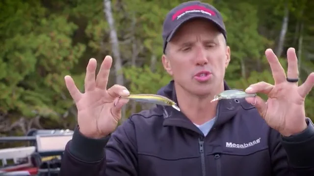 Megabass Ito Shiner Elegy Bone — Discount Tackle Megabass Ito Shiner Elegy Bone — Discount Tackle