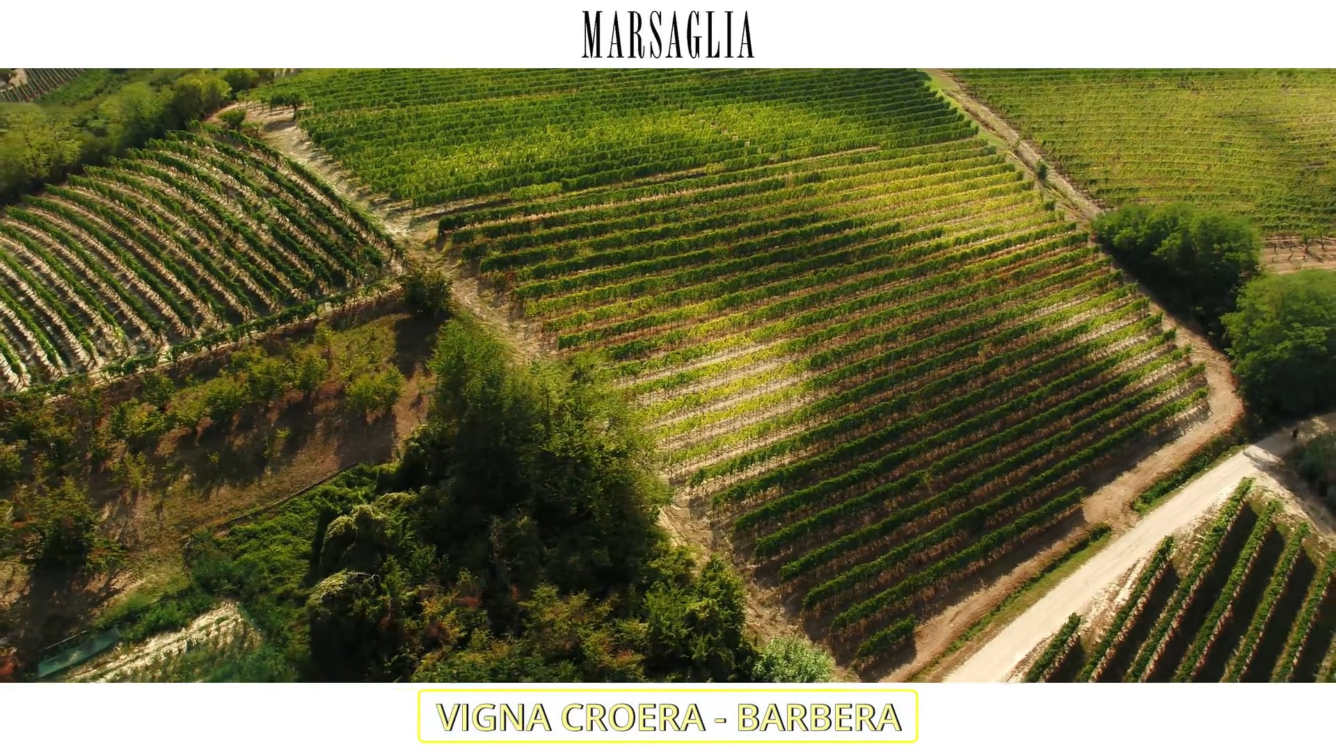 Vigna Croera | Vitigno Barbera