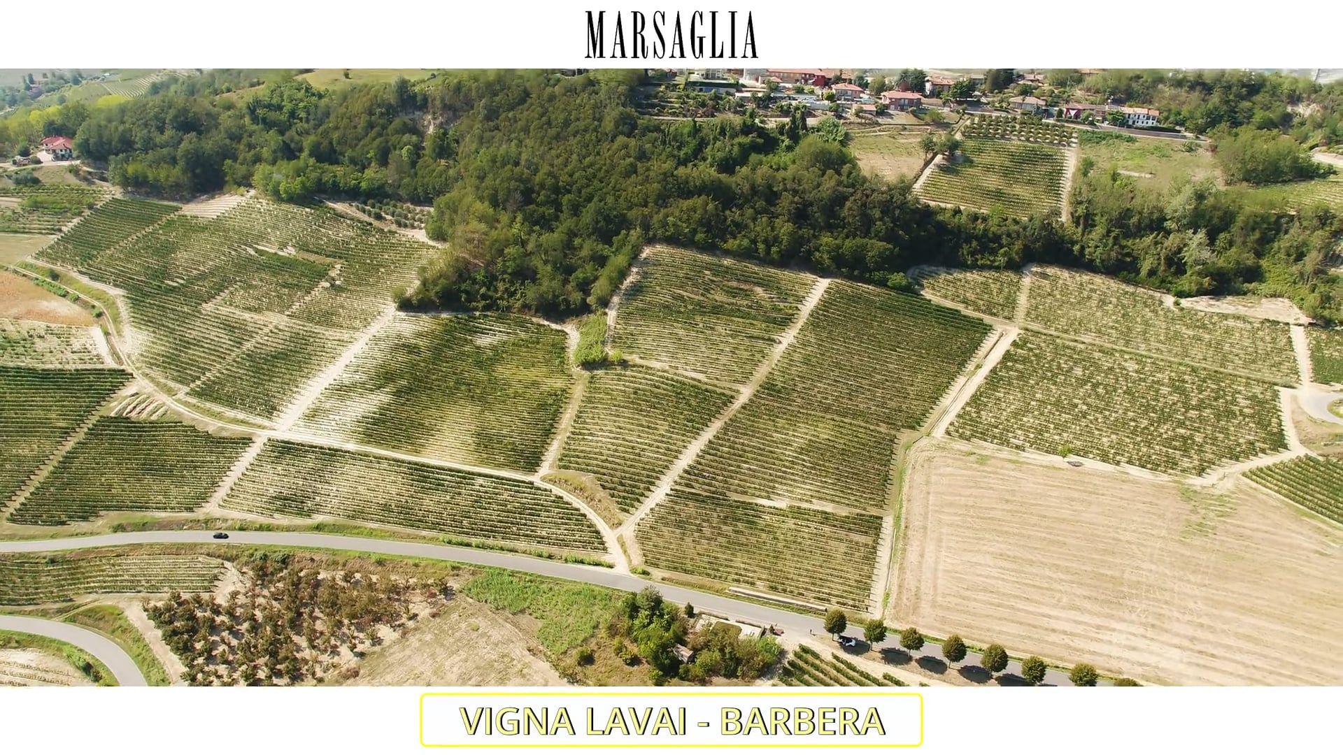 Vigna Lavai | Barbera