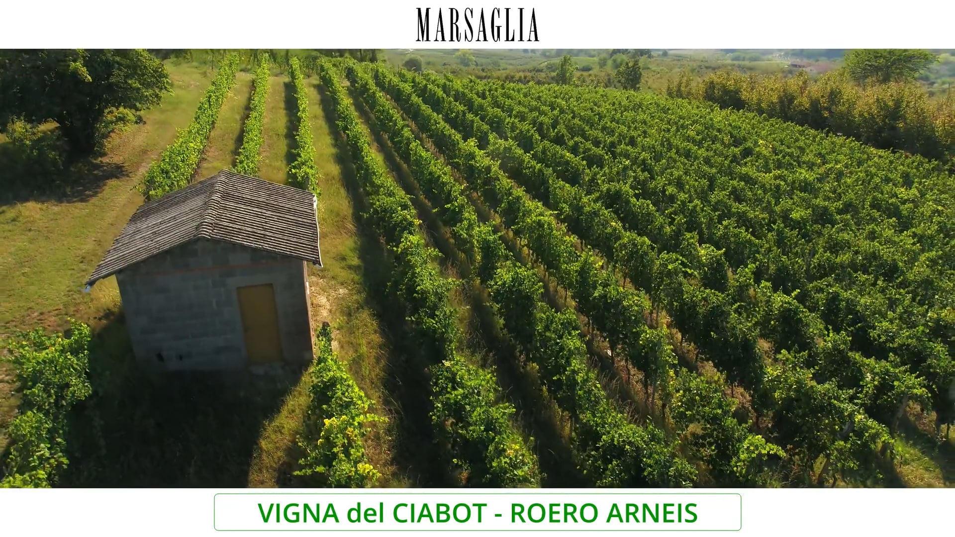 Vigna del Ciabot | Arneis