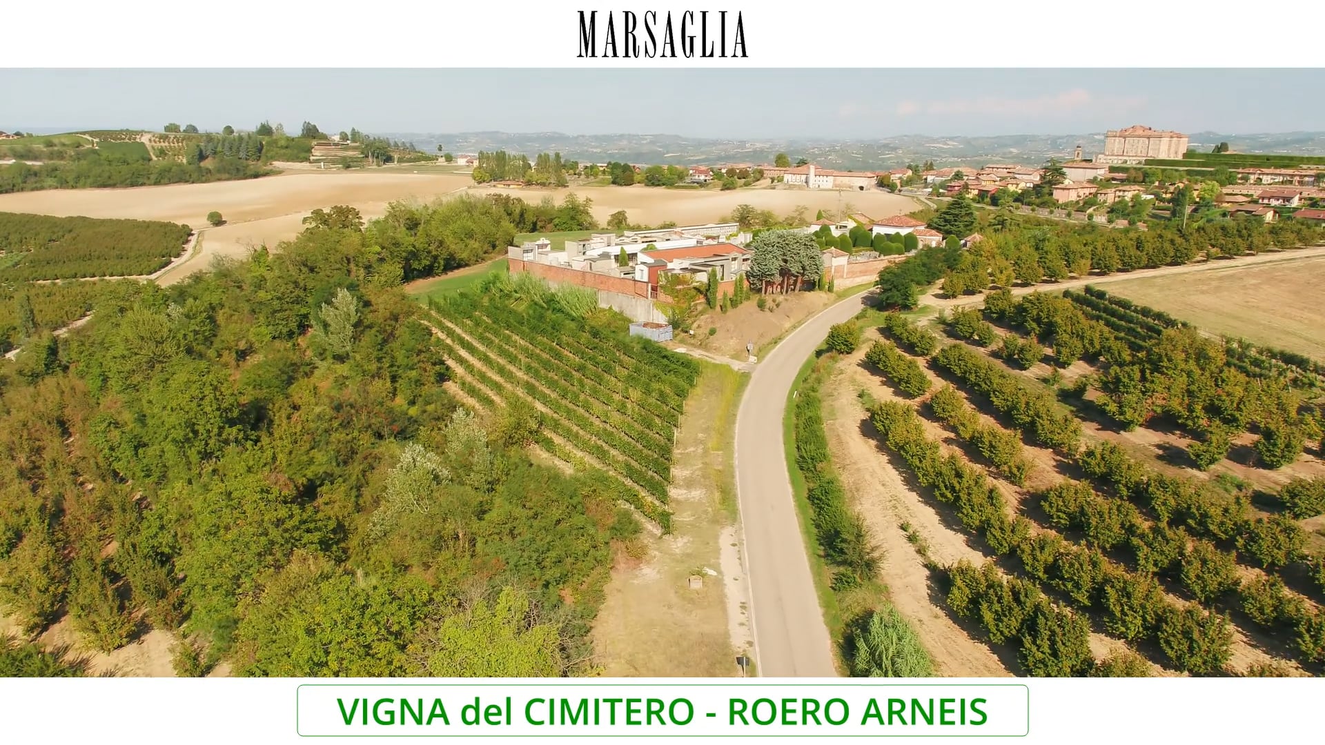 Vigna Costantino | Arneis