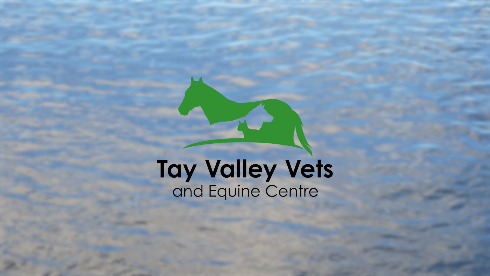 Tay Valley Veterinary and Equine Centre - Physiotherapy on Vimeo