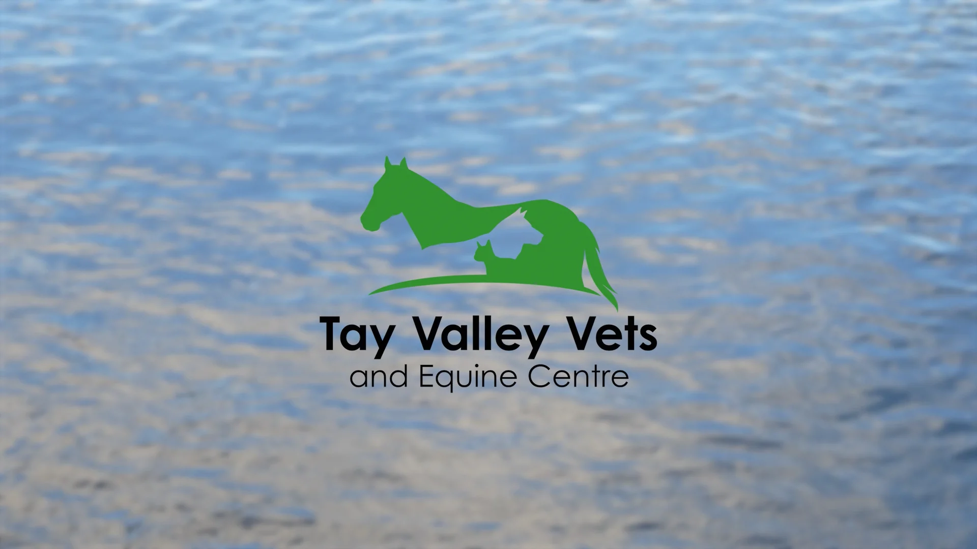 Tay Valley Veterinary and Equine Centre - Recruitment on Vimeo