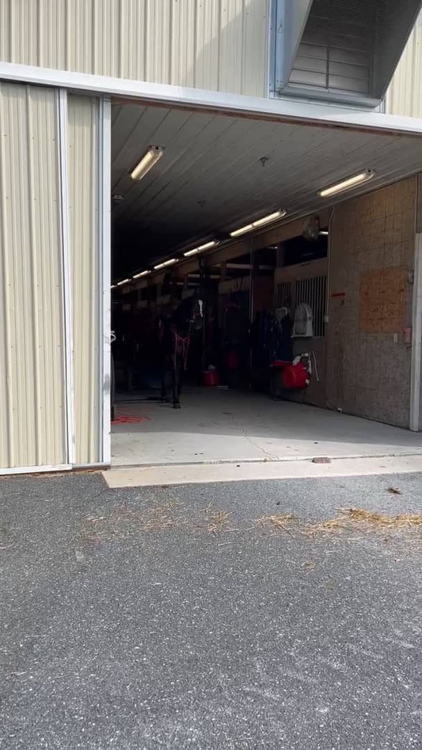 MASTER OF ARTS Walking Video on Vimeo