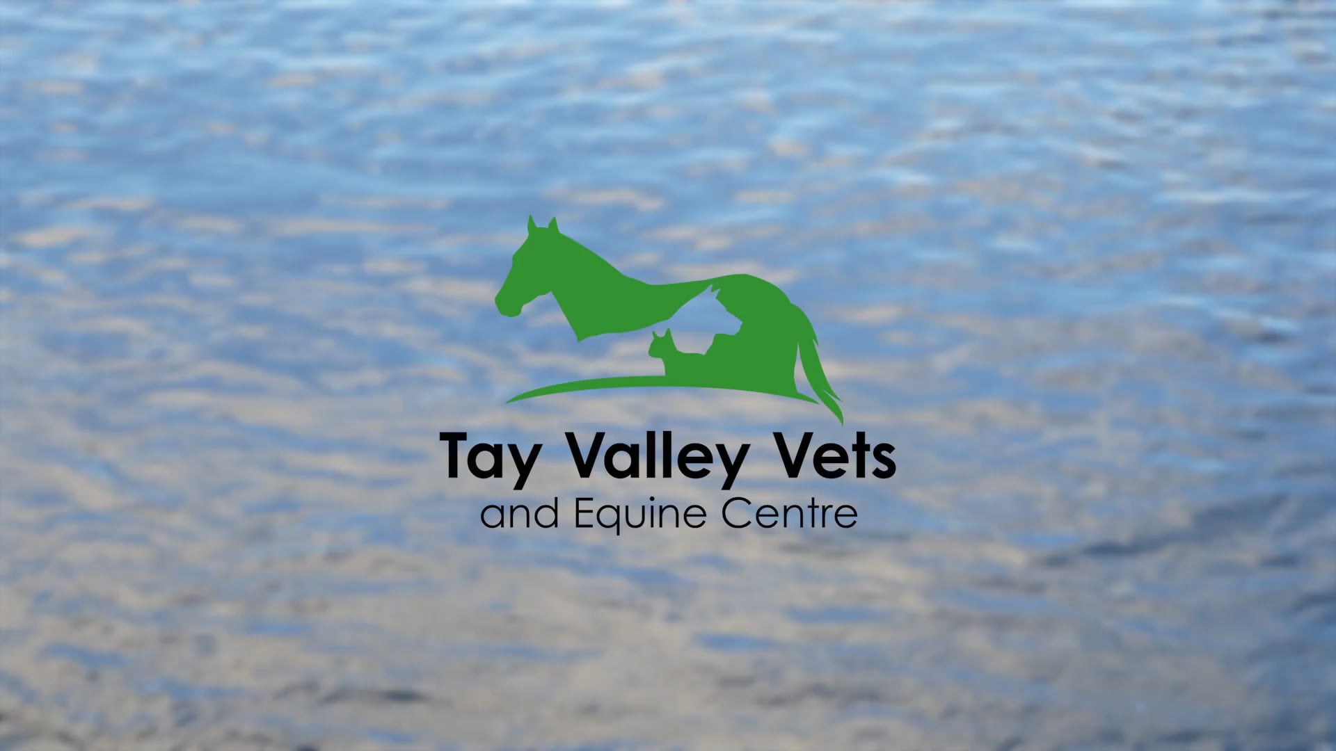 Tay Valley Veterinary and Equine Centre on Vimeo