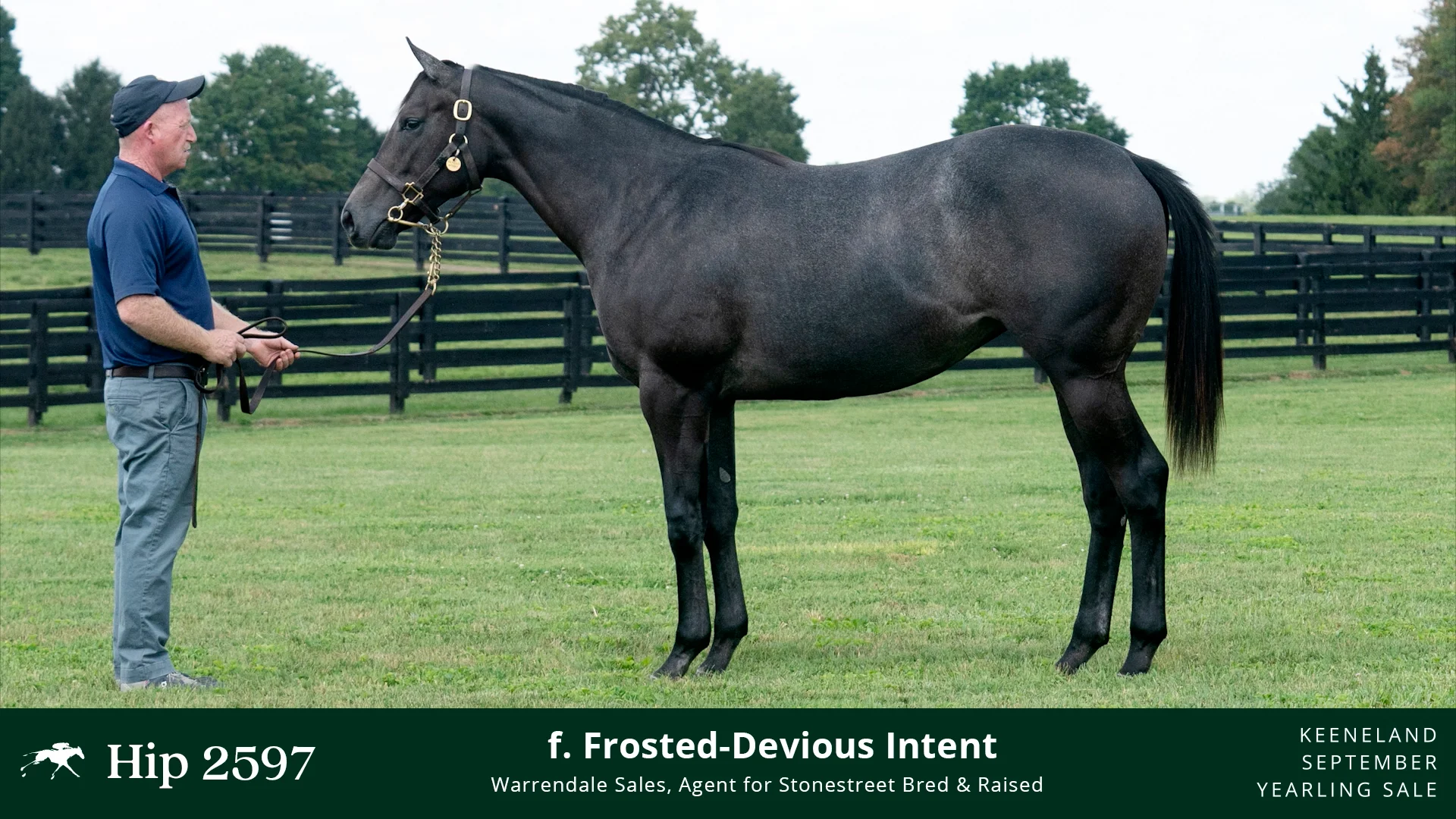 2597 Frosted x Devious Intent KeeSept22 on Vimeo