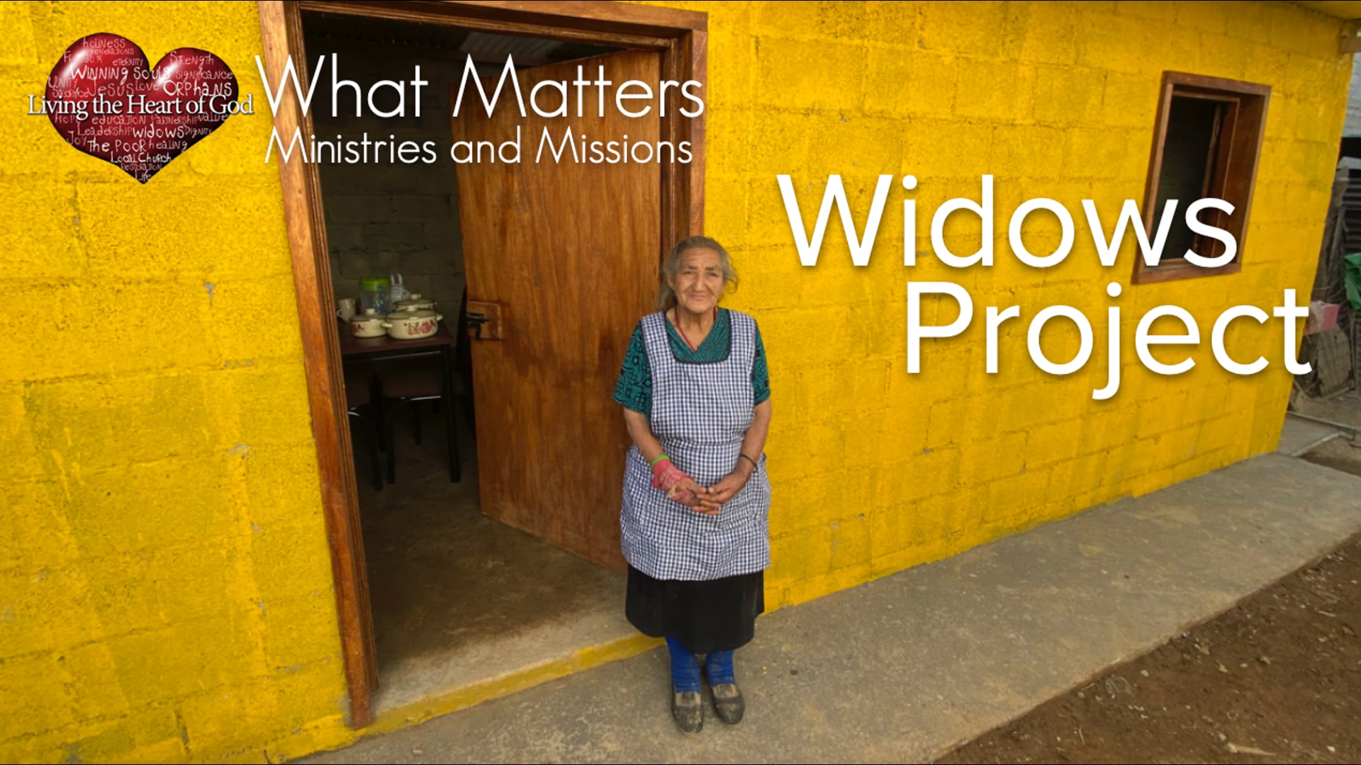 Widows Project Overview 2021