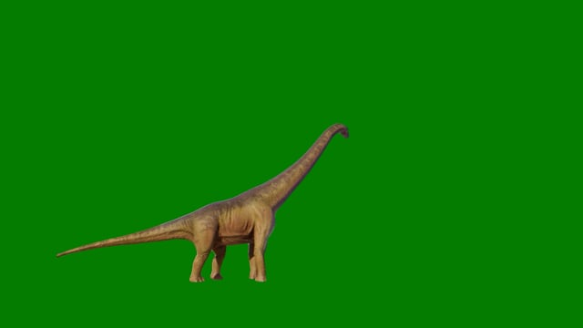 Jogos Desenho Animado Dinossauro - Imagens grátis no Pixabay - Pixabay