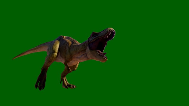 Angry T-Rex dinosaur runs in a looping s, Stock Video