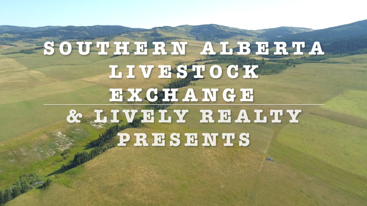 WALDRON RANCH FINAL VIDEO Southern Alberta Livestock Exchange.mp4 on Vimeo