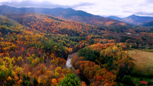 Nature by Season: Amazing Fall Foliage