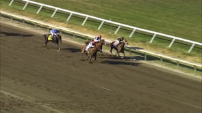 Cyberknife | 2022 Haskell Invitational-G1