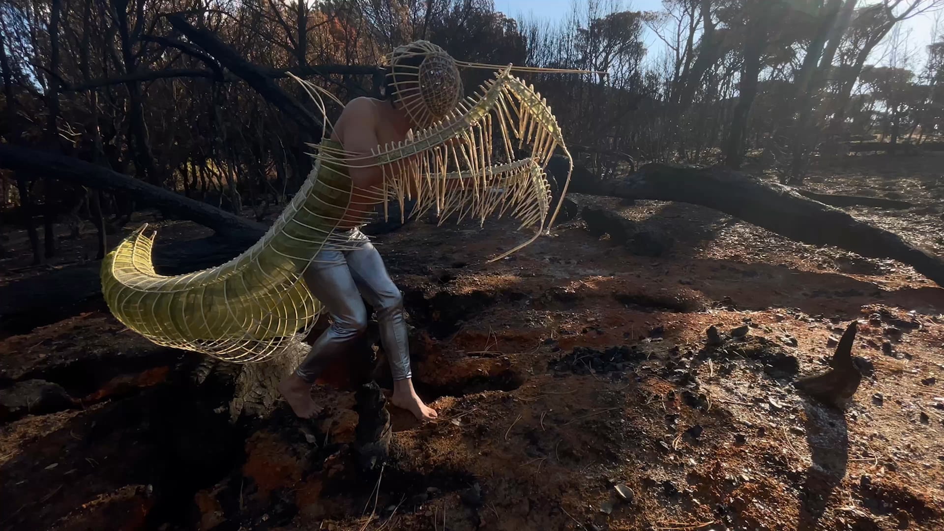 BIOPHILIA :: the human desire to connect with nature