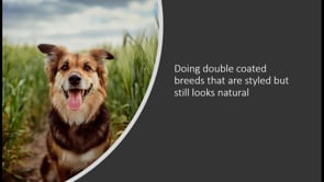 Doing Double Coated breeds part 1 - Prep work