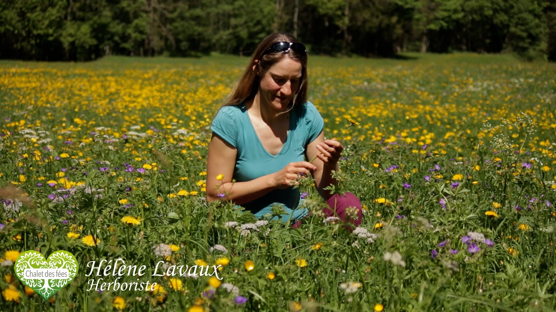 Hélène Lavaux - Herboriste