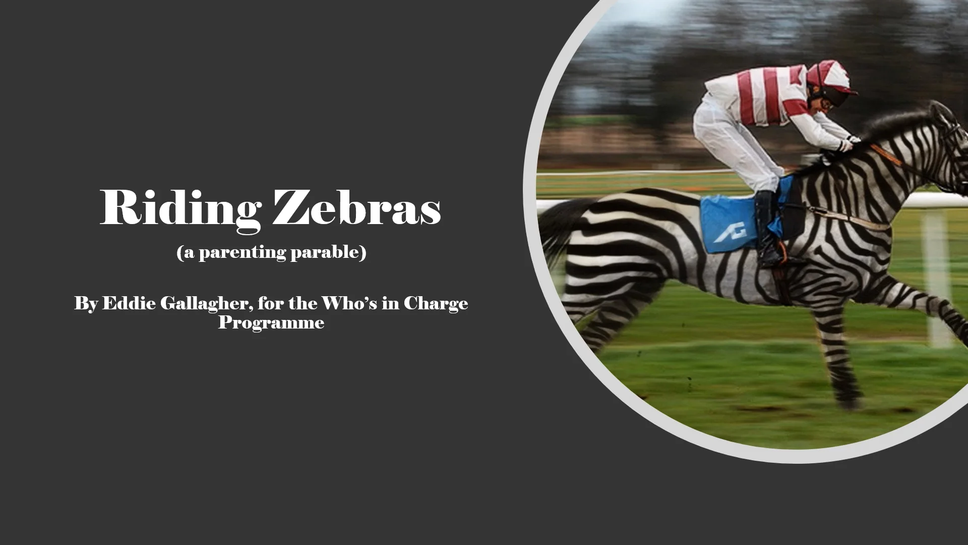 Riding Zebras.mp4 on Vimeo