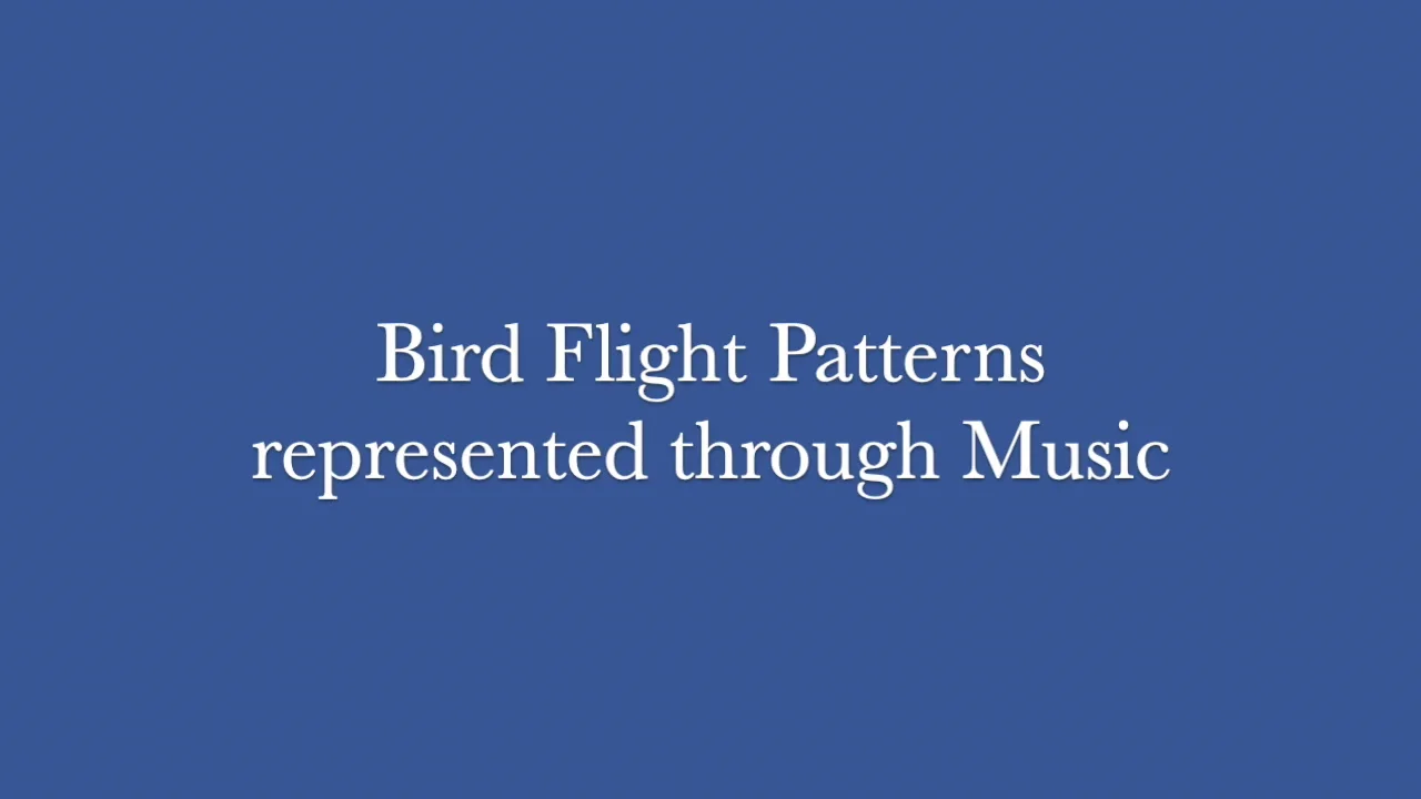 Bird Flight Patterns Melodies.mp4 on Vimeo